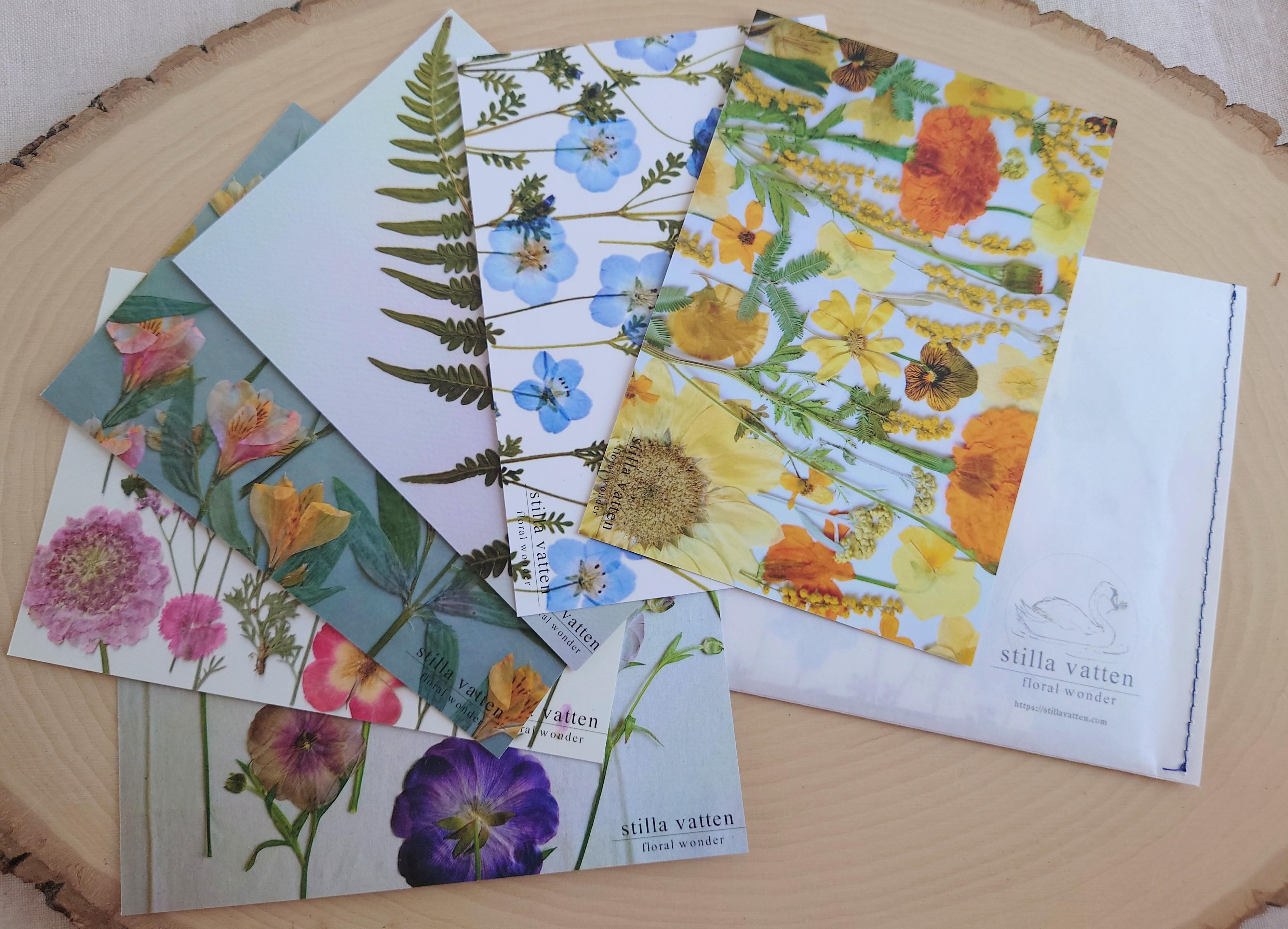 [post card]  ポストカード　6枚セット